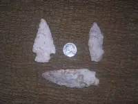 DSCN1230.webp