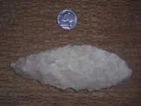 DSCN1231.webp