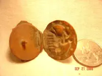 DSC01170.webp