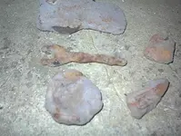 DSC00061.webp
