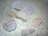 DSC00062.webp