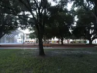 finds 006.webp