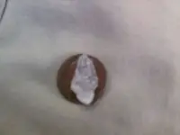 penny bird.webp