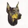avatar_13410.webp