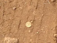 Waialua Dairy Tokens (9).webp