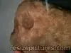 100_00545795[1].webp