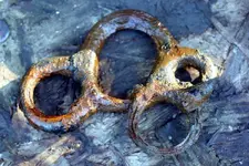 NC FINDS 9-19 001.webp