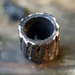 NC FINDS 9-19 003.webp