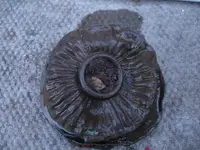 is this a land mine (7).webp