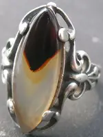 sam_houston_ring001.webp