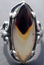 sam_houston_ring003.webp