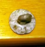 button2.webp