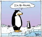 bi-polar_365455.webp