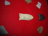 CIMG0829.webp