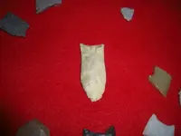CIMG0830.webp