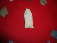 CIMG0831.webp