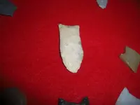 CIMG0832.webp