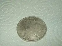 bobbiessilverdollarr.webp