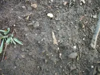 101_0949.webp