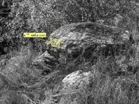 birdfrom20ft Merged.webp