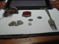 DSCN0370.webp