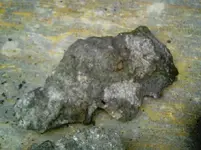 PHOT0246.webp