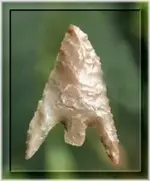 gun (2).webp