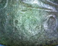 1800 Large Cent.webp