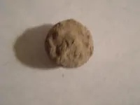 ButtonBackbefore.webp