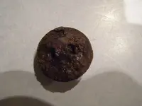 ButtonBackafter.webp