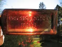 backlit 002 (Small).webp