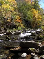 025.webp