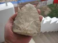 Arrowhead 001.webp