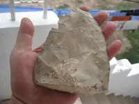 Arrowhead 004.webp