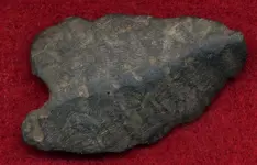 rock2.webp