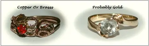 tues rings.webp