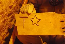 T Star Board (ONFP).webp