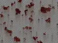 avatar_54153.webp