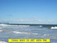 9101.webp