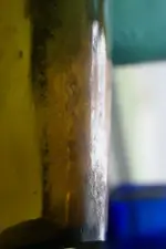 DSC05610.webp