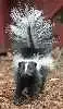 avatar_44708.webp