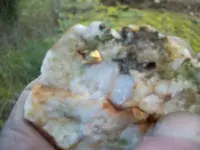 100_0284.webp