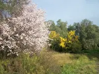 100_0277.webp