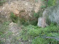 100_0285.webp