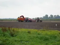 Goud van akker 001.webp