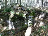 OCT 8th  & 9th hunt with roger and gary 011 [].webp