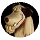 avatar_36196.gif