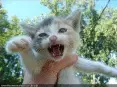 avatar_35798.webp