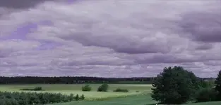 landscape 1..webp