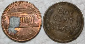 PennyBackLarge.webp